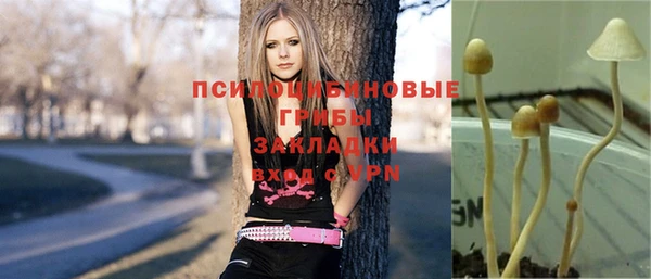 ECSTASY Алзамай