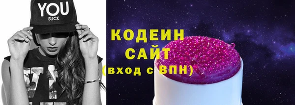 ECSTASY Алзамай