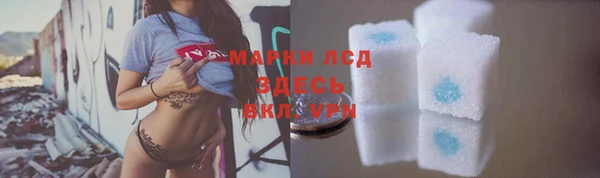 ECSTASY Алзамай