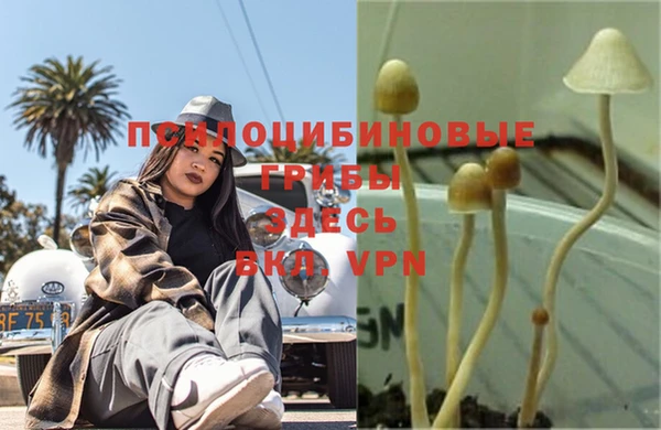 тгк Алексеевка