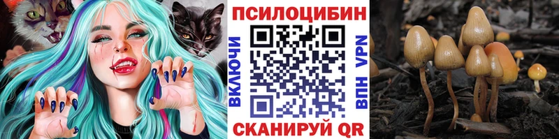 Псилоцибиновые грибы Cubensis  Тырныауз 
